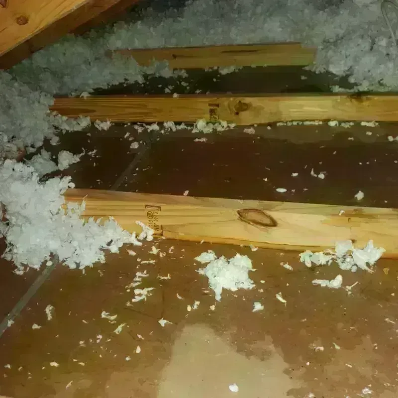 Attic Water Damage in Mayes County, OK