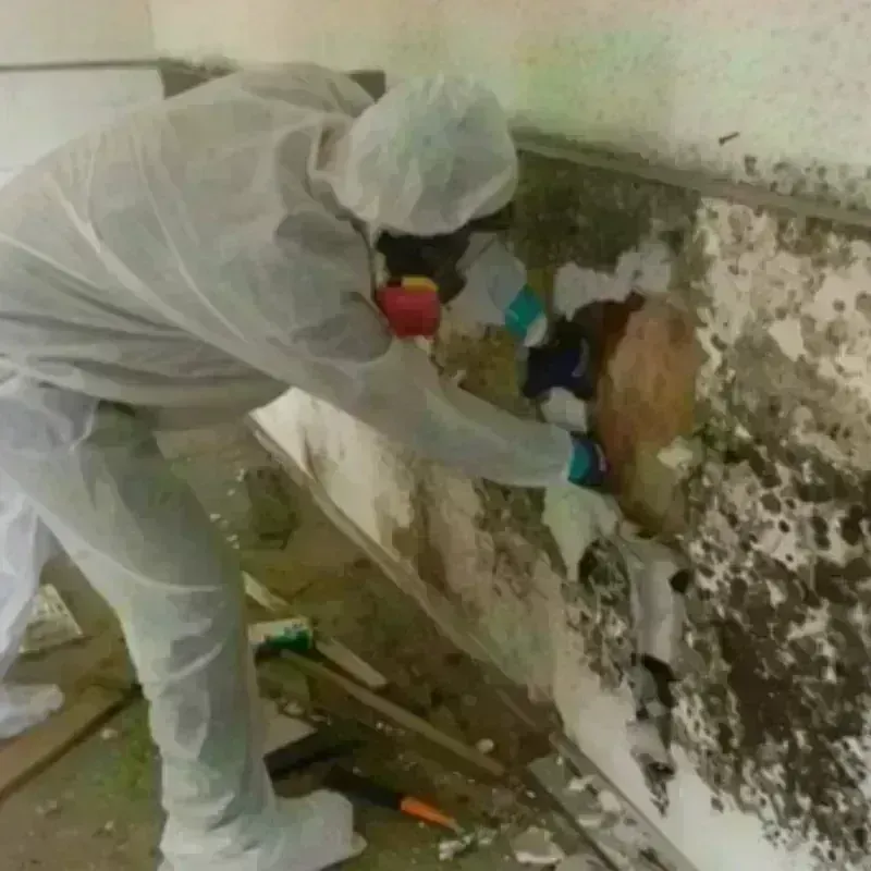 Mold Remediation and Removal in Mayes County, OK